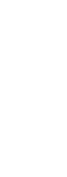 日々を明るく、照らす庭。