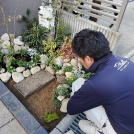 姫路門廻り植栽