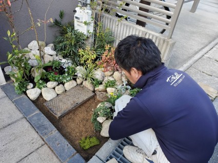 姫路門廻り植栽