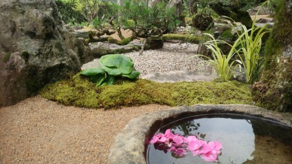 水鉢