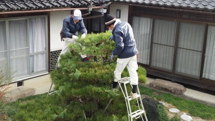剪定　佐用