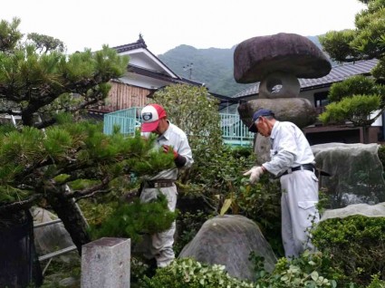 剪定