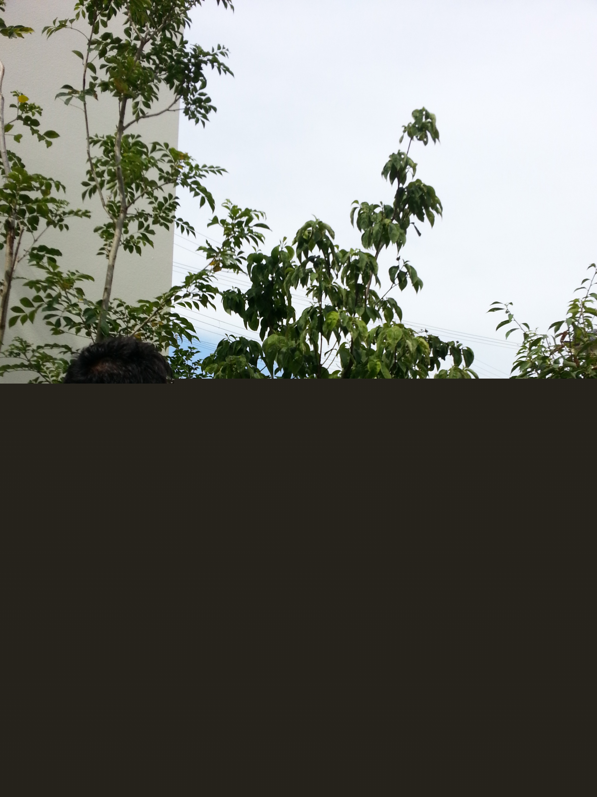 20140730_1445409 20140730_1445409
