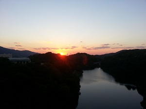 20141028_170356 20141028_170356