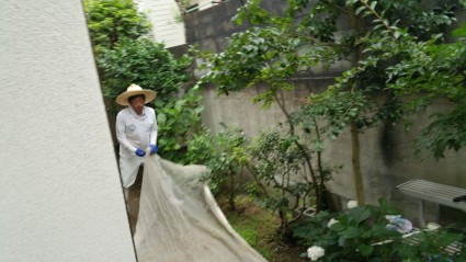 20150708_0847591