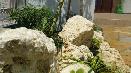 20150714_130043