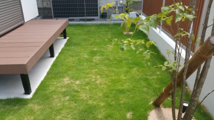 20150811_103355
