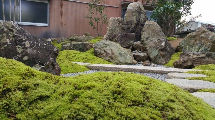 砂苔グランドカバー
