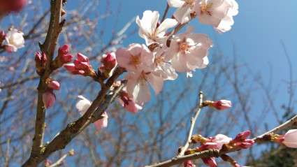 20160321_1258071