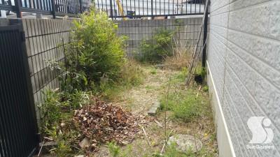 20160405_1025582-before-overlay