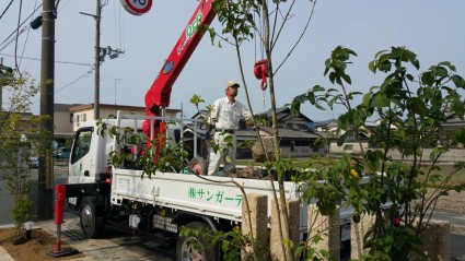 植木　姫路