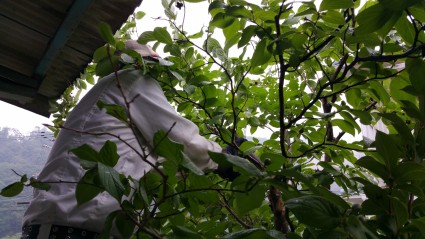 20160527_0804231