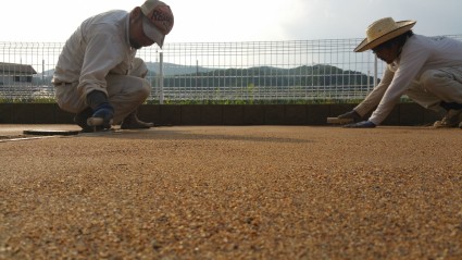 20160531_162942