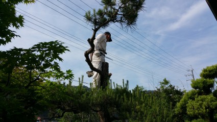 20160606_0748521