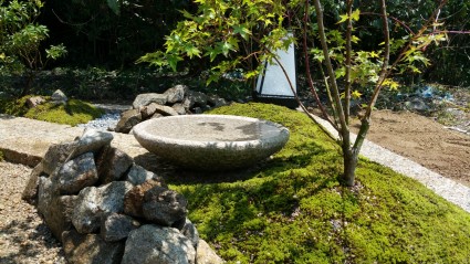 坪庭