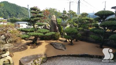 20160810_1537191-after-overlay