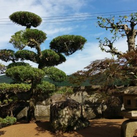 和風庭園を真砂土舗装のお庭にリノベーション工事　佐用