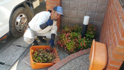 花壇のお手入れ