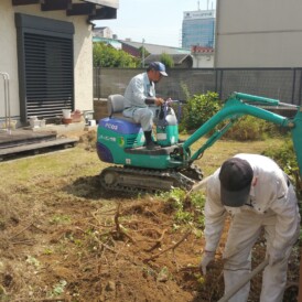 植木撤去