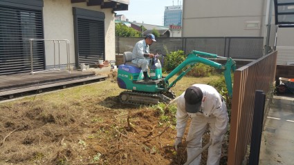 植木撤去