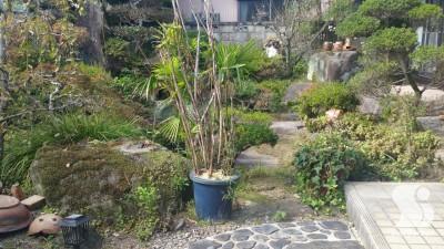 20161014_135717-before-overlay