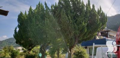 20180827_0807531-before-overlay