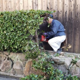 生垣と石垣の撤去