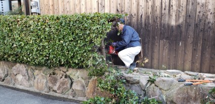 生垣と石垣の撤去