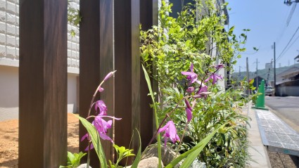 姫路市新築外構｜草花植栽工事