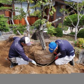 庭解体植木移植工事