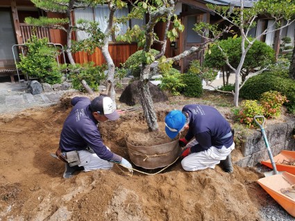 庭解体植木移植工事