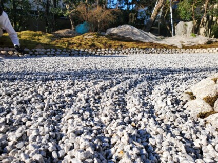 苔の植替え