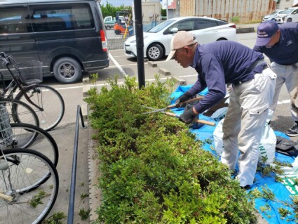 サツキ植栽工事