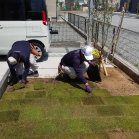 芝生の庭づくり