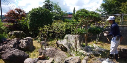 庭木の散髪・庭木の剪定