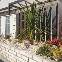 姫路市植栽工事|ドラセナのシンボルツリー花壇工事 姫路市植栽工事|ドラセナのシンボルツリー花壇工事
