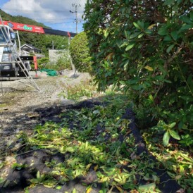 剪定の掃除アイテム「寒冷紗」