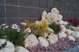 DSC00578-column3