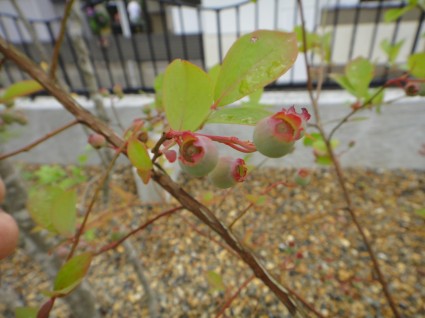 DSC02001