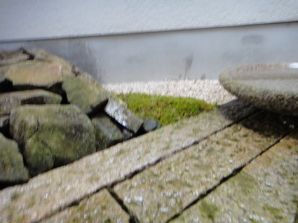 DSC020271