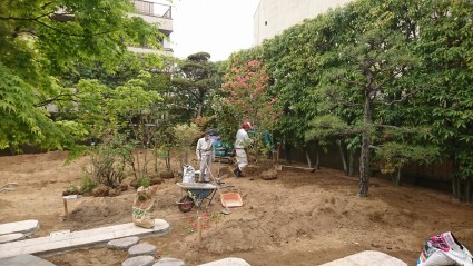 オンツツジ