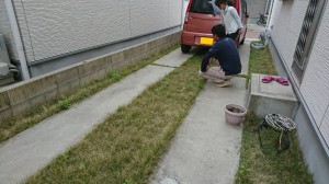 縦列駐車の駐車場の轍以外の芝生部分をコンクリで固めたい 姫路市 姫路市の外構 エクステリア お庭のことなら サンガーデンへ