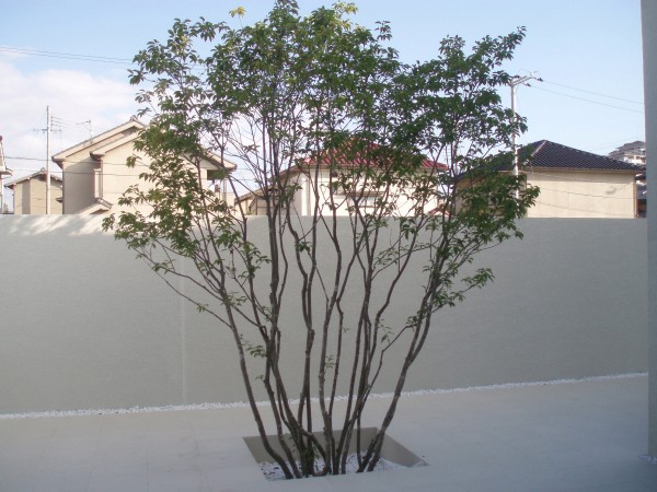 conv00271-600x4501 conv00271-600x4501
