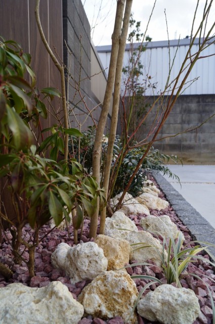 dsc005861-column11