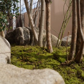 雑木を使ったこだわり和の趣のある自然な坪庭　姫路市Ｍ様邸