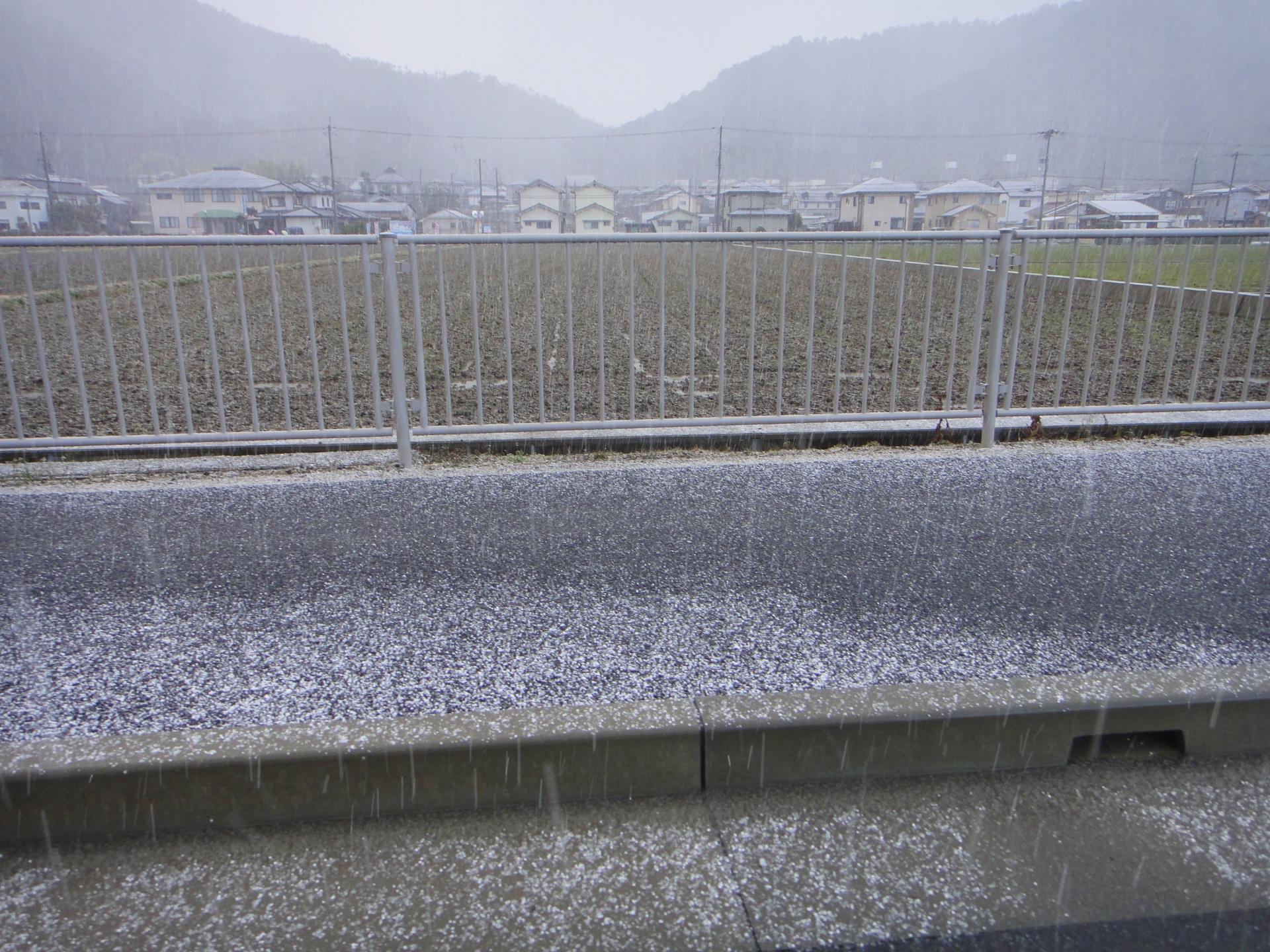 dsc01442 dsc01442