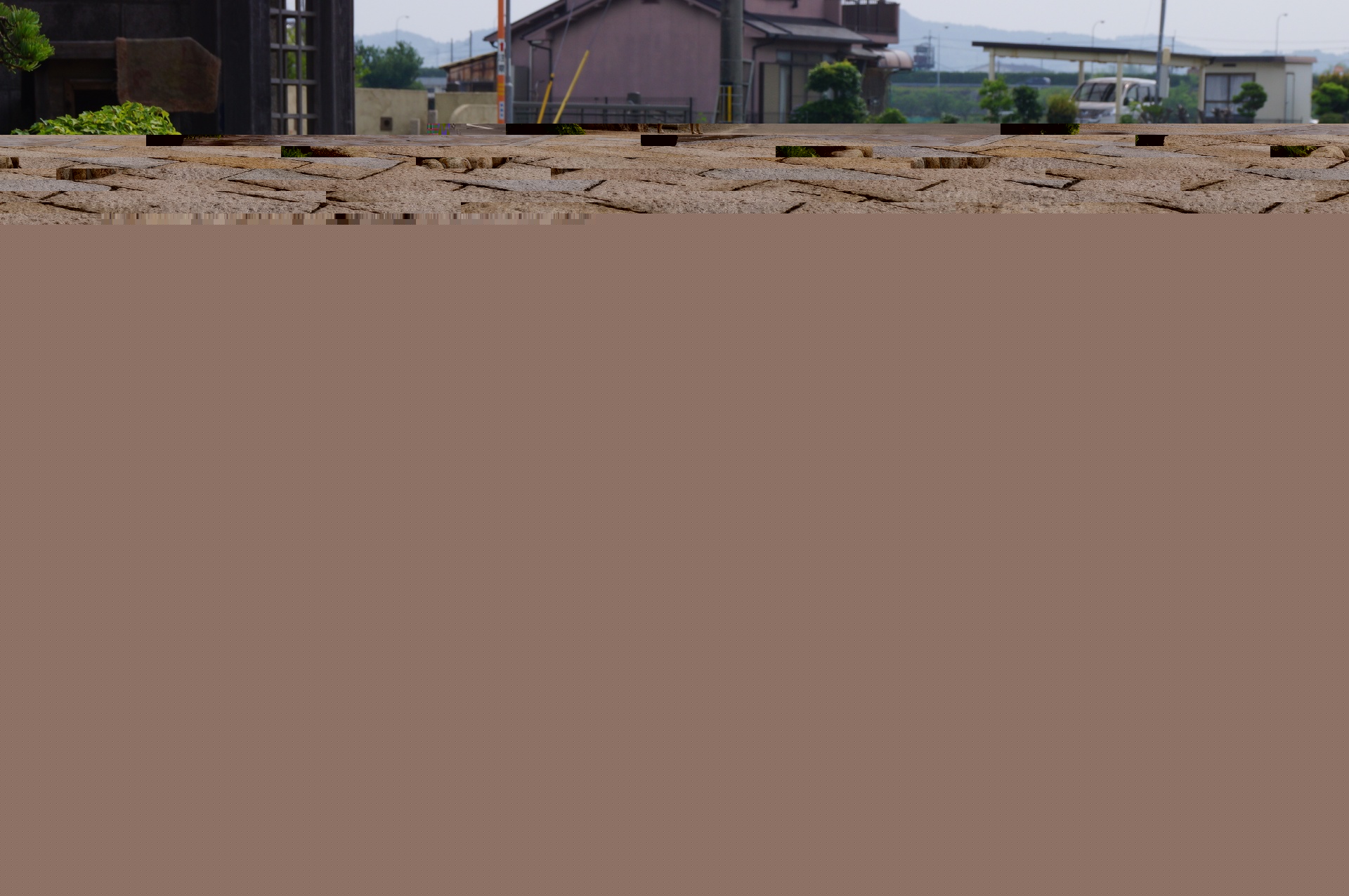 dsc02693 dsc02693