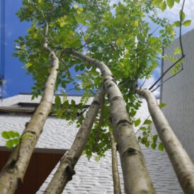 dsc034265-column14