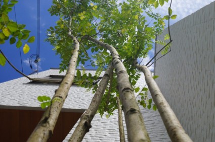 dsc034265-column14