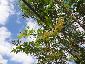 dsc05756 dsc05756